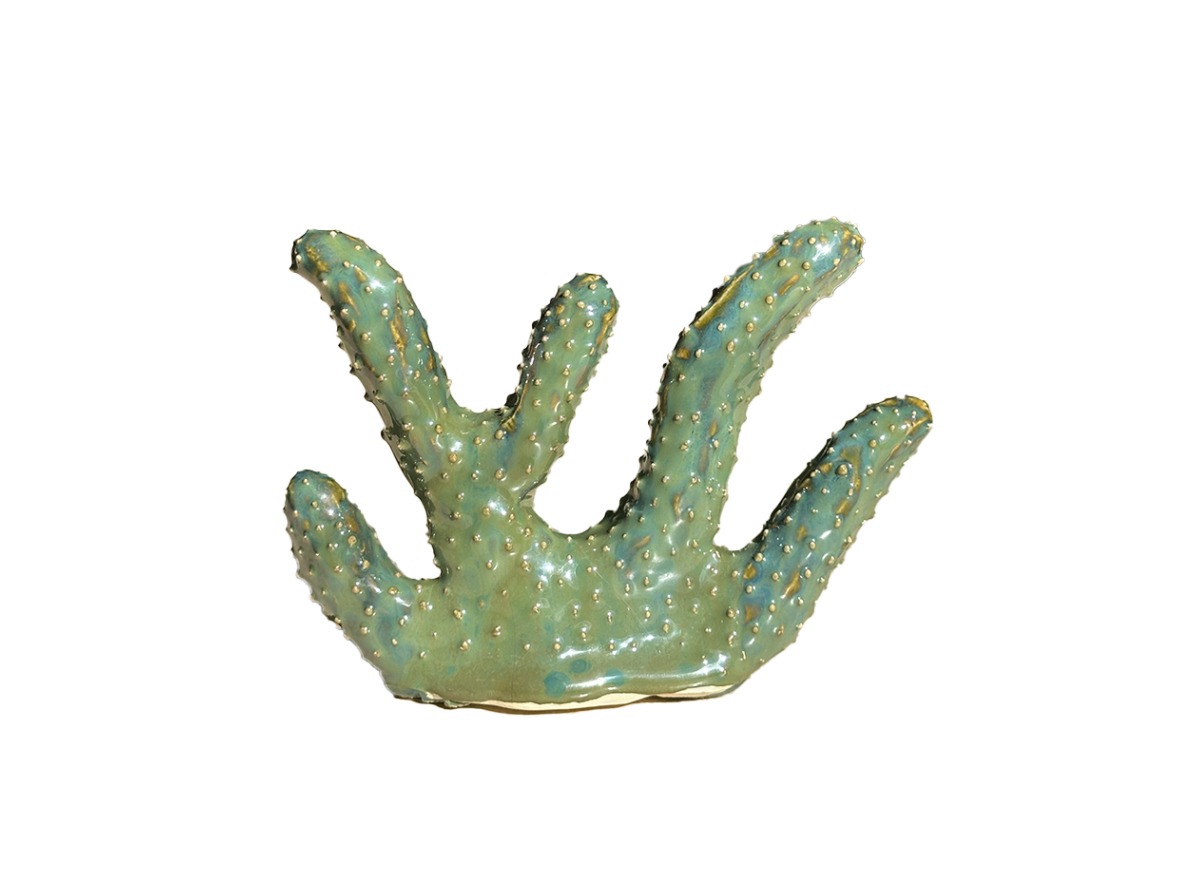 coral ring holders