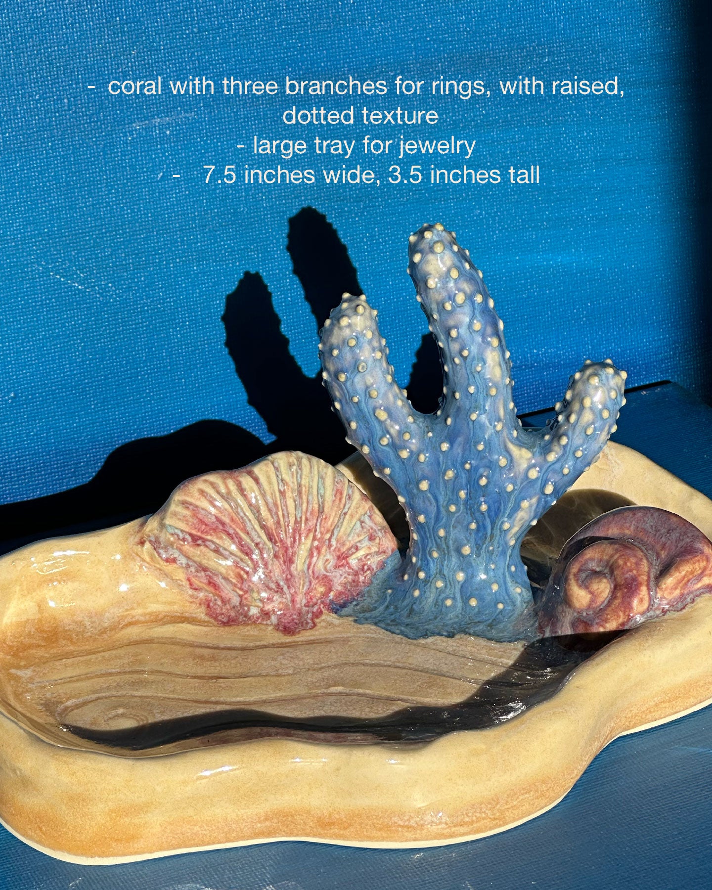 ocean floor