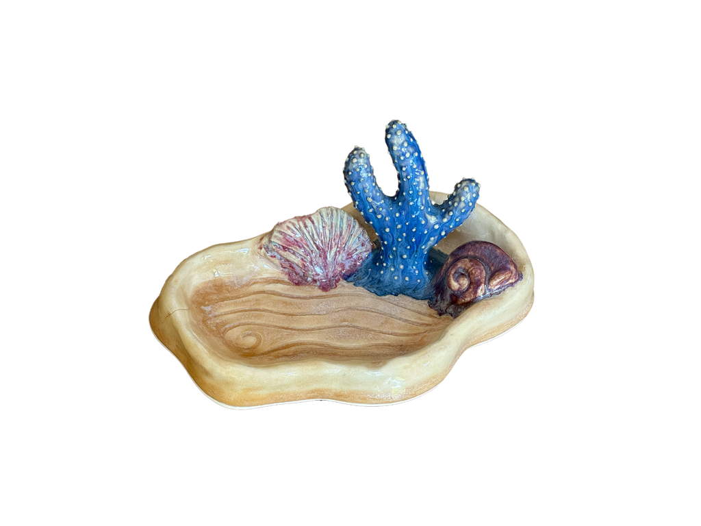 ocean floor