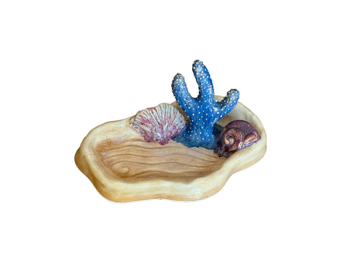ocean floor