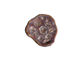 berry good